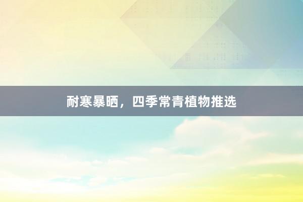 耐寒暴晒，四季常青植物推选