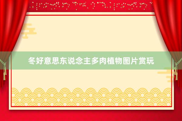 冬好意思东说念主多肉植物图片赏玩
