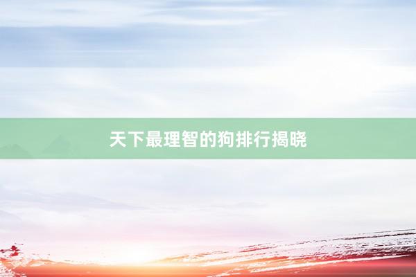 天下最理智的狗排行揭晓